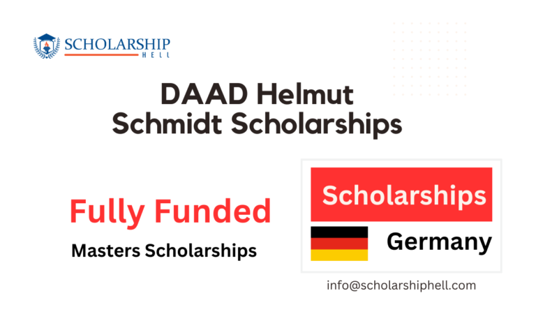 DAAD Helmut Schmidt Scholarships